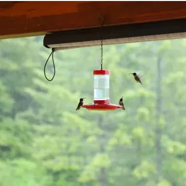 Aside from shape and size, is the color of the feeder attractive to hummingbirds?